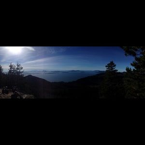 Meet your Posher, Marianna